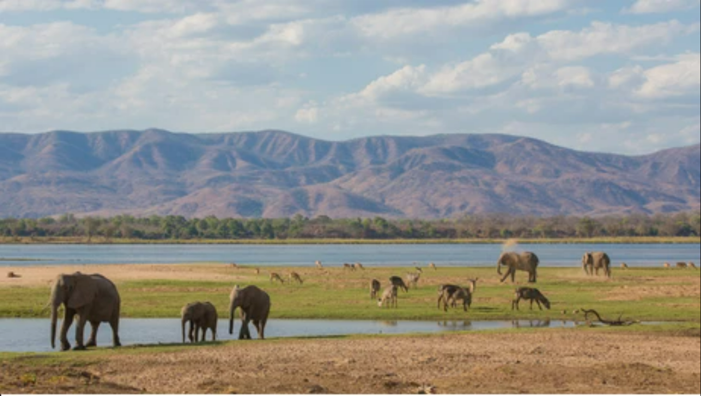 manas-national-park-in-hindi-manas-wildlife-sanctuary-digitali-india